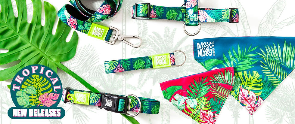 תמונה ממוזערת: BANDANA - TROPICAL MAX & MOLLY  בנדה מקס ומולי בעיצוב טרופי לכלב ולחתול
