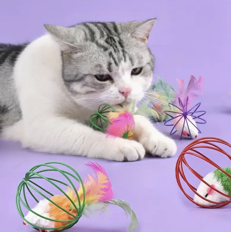 צעצוע אינטראקטיבי לחתול עכבר רך בתוך כדור רשת עם נוצה | סופר פטס Super Pets