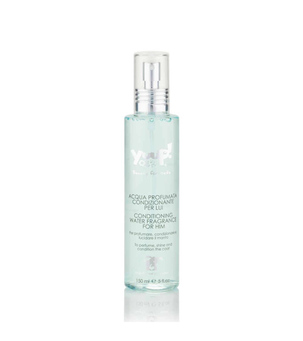 Yuup Home Conditioning Water for Him  יופ בושם בניחוח גברי 150 מ"ל