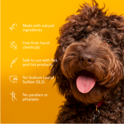 תמונה ממוזערת: שמפו מרגיע שיבולת שועל בניחוח וניל קוקוס | SOOTHING OATMEAL SHAMPOO FOR DOGS - A