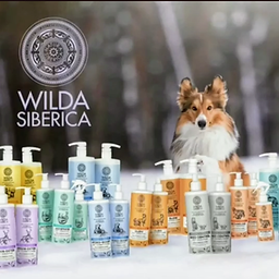 תמונת כללית ווילדה.PNG