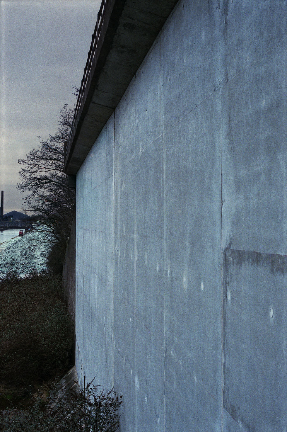 Et s'il n'y a pas d'hiver