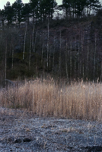 Et s'il n'y a pas d'hiver