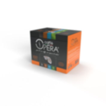 100 CAPSULE BIALETTI ALLUMINIO® Miscela MICHELANGELO