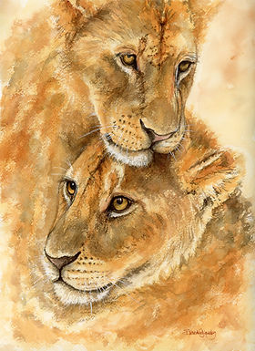 Animals