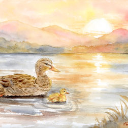 The Quiet Way Home original watercolor featuring a mother duck and duckling swimming across a glowing mountain lake at sunset with warm golden reflections and distant mountain silhouettes, painted in transparent watercolor by Diana Vodjansky
