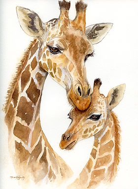 Animals