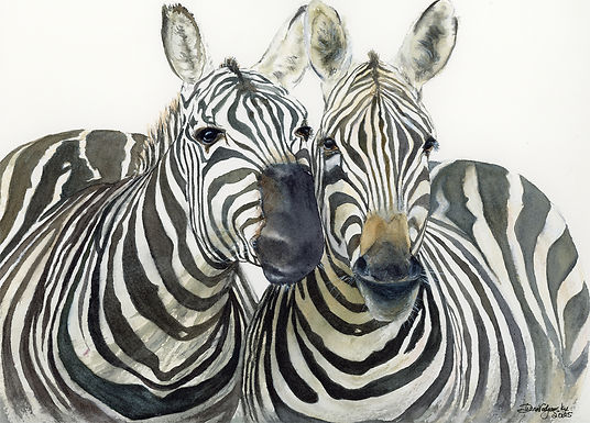 Animals
