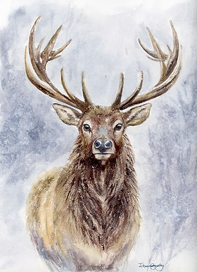 Animals