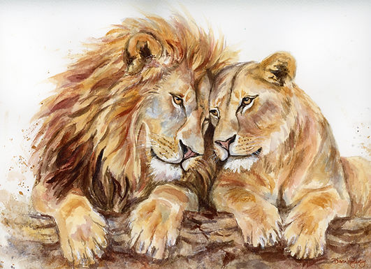 Animals
