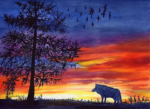 Animals