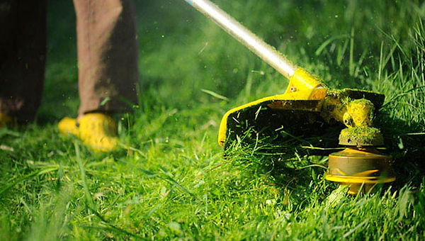 Lawn-Care-Business.jpg