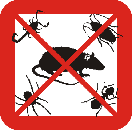 control de plagas, desinfeccion, control de roedores, desinfeccion