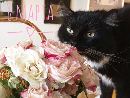 С 8 Марта, милые дамы!