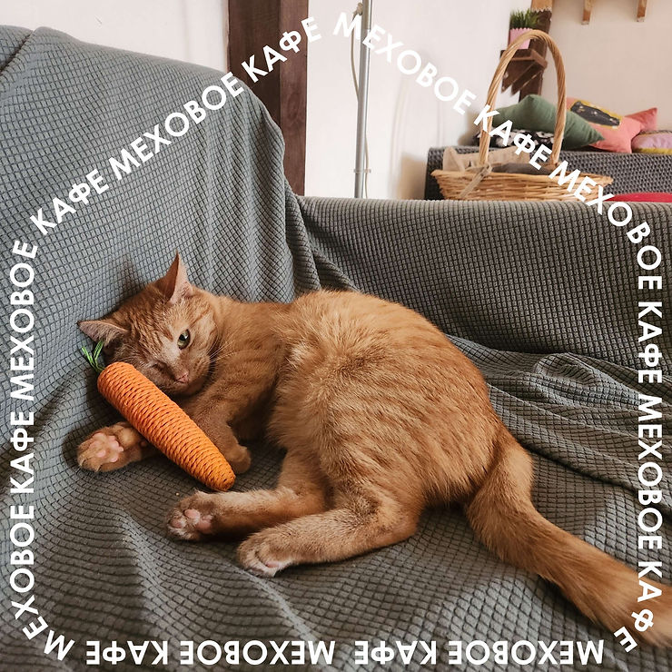 ree