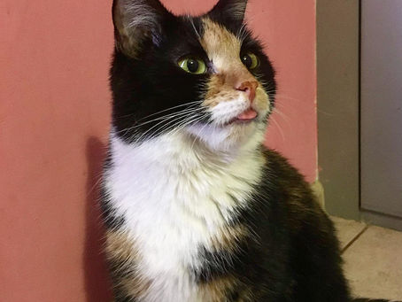 О волнующем 😷