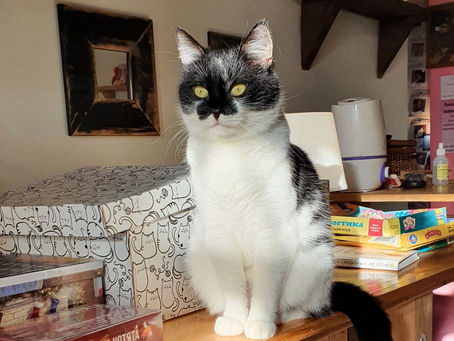 Так много вариантов