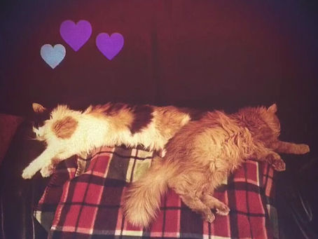 Акция ко дню влюблённых 💕