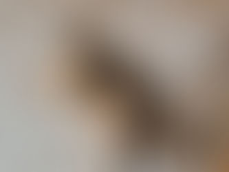 Эммик нашел семью