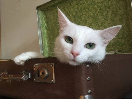 Наши постоянные акции