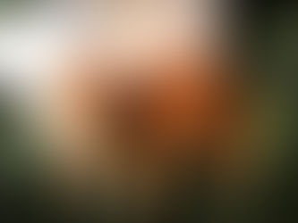 Гостей много не бывает!