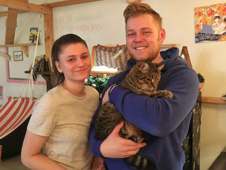 Кингстон дома