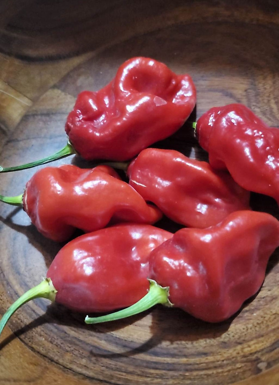 Thumbnail: 10 Red Moruga Scorpion Seeds