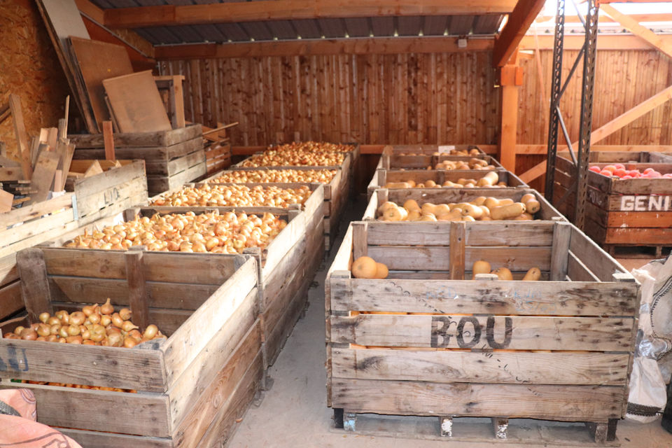 LE STOCKAGE LEGUMES