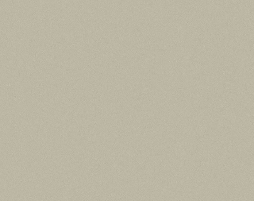 FOND_BEIGE_ARTISTIC_PALACE_2-min.jpg