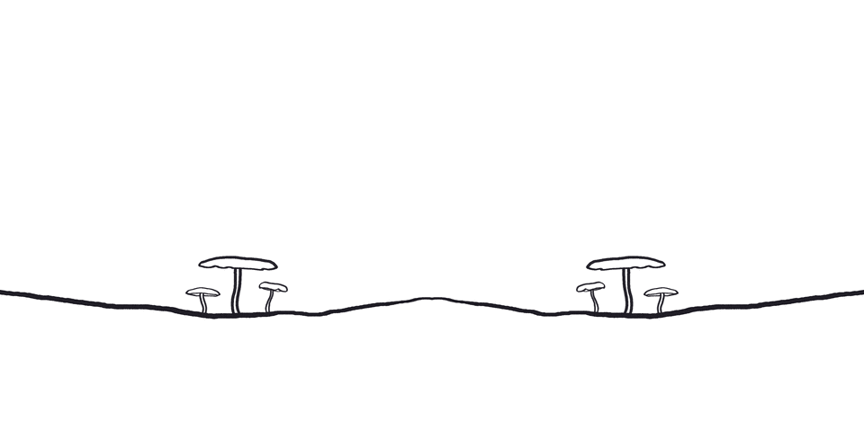 Mushroom slow growing - Mirrored.gif