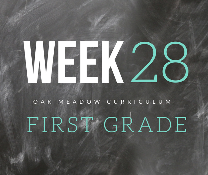 Homeschooling - 1st Grade Week 28 Oak Meadow Curriculum Supplements