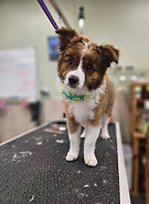 image0 - Copy (2) - Copy.jpeg