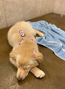 image2 - Copy (2).jpeg