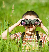 Scouting