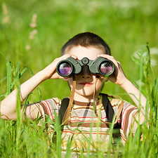 Scouting