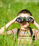 Scouting