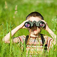 Scouting