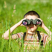 Scouting