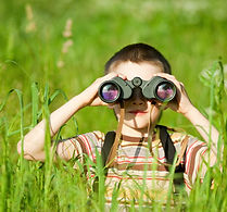Scouting