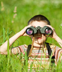 Scouting