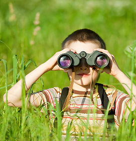 Scouting