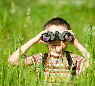 scouting