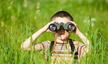Scouting