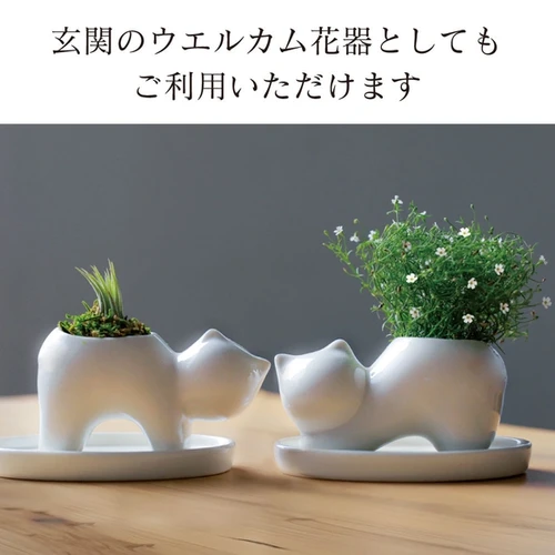陶芸家　人気作家　植葉香澄　ネコトリ型ポピー文　盃　ねこ　猫　共箱 Amazon.co.jp: 陶芸家 人気作家 植葉香澄 ネコトリ型ポピー文 盃