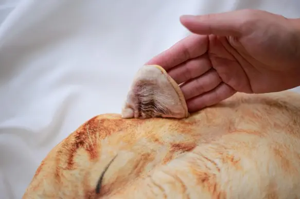 サムネイル： necomaru(サバトラ)まるで猫なクッション