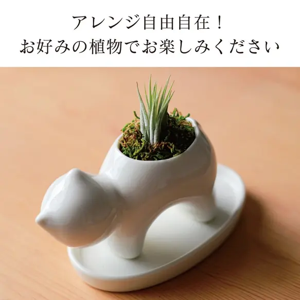 サムネイル： ねこの植木鉢(受け皿付)