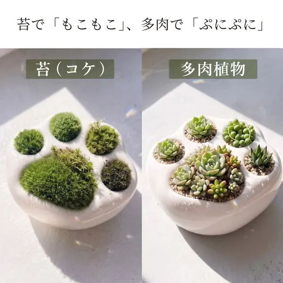 サムネイル： にくきゅう植木鉢-5