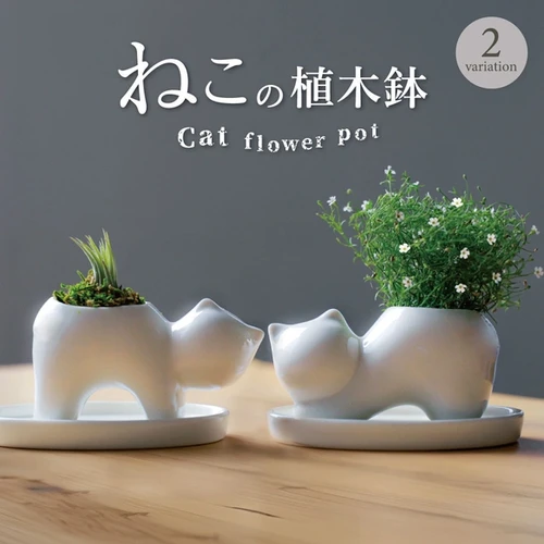ねこの植木鉢(受け皿付) | Poppen-Poppin