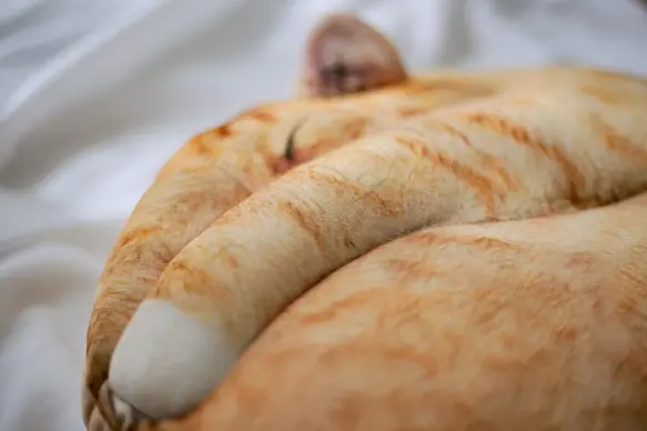 サムネイル： necomaru(サバトラ)まるで猫なクッション