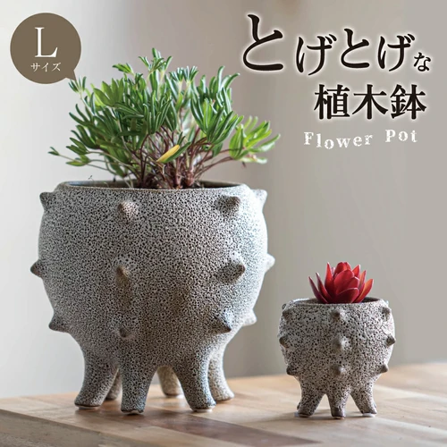 【公式ショップ】 とげとげな植木鉢 | Poppen-Poppin 陶芸